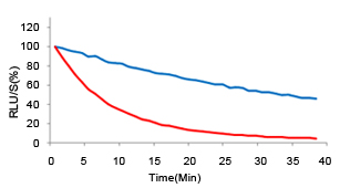 Signal stability of mGluc and wtGluc